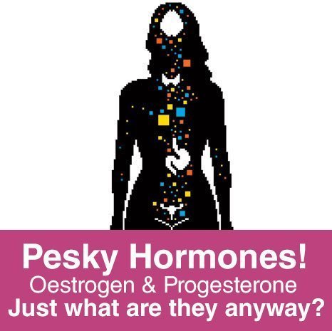 Pesky Hormones! Just what are they?
